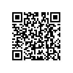 B66317G0000X127 QRCode