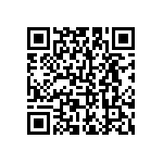 B72241L0151K100 QRCode