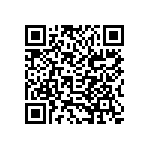 B82496C3339Z000 QRCode