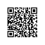 BCS-132-L-S-DE-028 QRCode