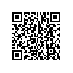 BCS-133-L-S-TE-017 QRCode