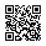 BDL-119-T-E QRCode