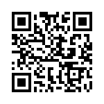 BFC233629022 QRCode