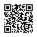 BFC233824333 QRCode