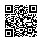 BFC233990033 QRCode