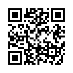 BFC236545393 QRCode