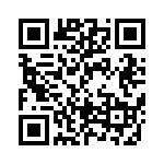 BFC238041393 QRCode