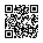 BFC238045333 QRCode