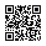 BFC241841304 QRCode