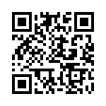 BFC242031303 QRCode