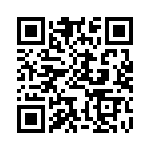 BFC246853334 QRCode