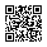 BFC247041333 QRCode