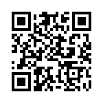 BFC247066333 QRCode