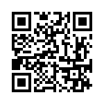 BKT-117-03-L-V QRCode