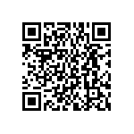 BKT-125-01-F-V-S-A-P QRCode