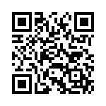 BKT-131-04-L-V QRCode