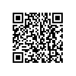 BKT-133-04-F-V-S-P-TR QRCode