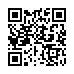 BKT-139-04-L-V QRCode