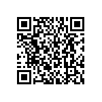 BKT-151-02-L-V-A-P-TR QRCode