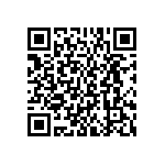 BKT-155-01-L-V-S-P QRCode