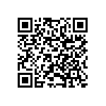 BKT-161-01-FM-V QRCode