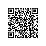 BKT-161-01-L-V-A-P QRCode