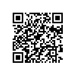 BKT-161-02-F-V-S-A-P-TR QRCode