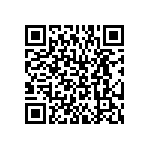 BKT-161-02-L-V-P QRCode