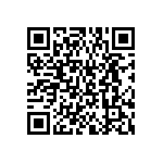 BKT-161-04-F-V-S-A-P QRCode