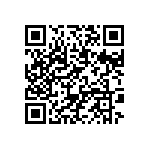 BKT-163-04-L-V-P-TR QRCode