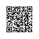 BKT-167-04-L-V-P-TR QRCode