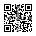 BQ294702DSGR QRCode