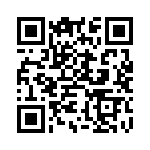 BYD33KGP-E3-73 QRCode