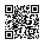 BZT55B3V6-L1G QRCode