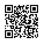 BZT55B43-L1G QRCode