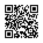 BZV09-Z0000-04 QRCode