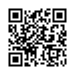 BZV55-B4V3-115 QRCode