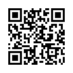 BZW04-17-R1G QRCode