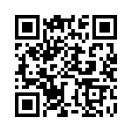 BZW04-23-E3-73 QRCode