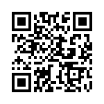 BZW04-256-B0G QRCode