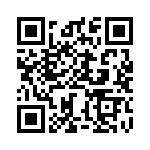 BZW04-256B-R1G QRCode