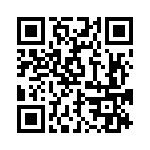 BZW04-28-R1G QRCode