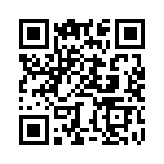 BZW04P20-E3-73 QRCode