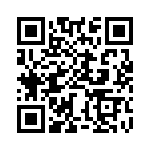 BZW06-256-B0G QRCode