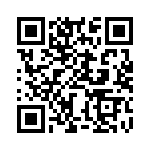 BZW06-28-R0G QRCode