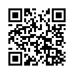 BZW06-33 QRCode