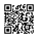 BZW06-376B-R0G QRCode