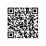 CA3106E20-16SYBF80 QRCode