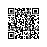 CW0101R300JE123 QRCode