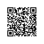 CW0101R300JE12HS QRCode